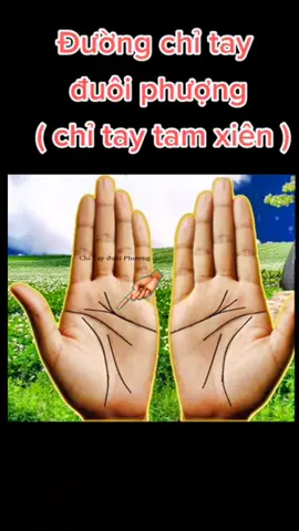 Ý nghĩa của chỉ tay tam xiên và bạn thử kiểm chứng xem nhé.#xemchitay #reviewchitay2022 #chitay #vatphamphongthuy @Mr. Siro 