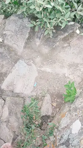 Coimata - Tarija 🍇🍷🤭 #lugaresincreibles #tarija #tarijabolivia🇧🇴 #paisaje #relax #churatarija #fouryou #parati #fypシ @TikTok #coimata #churatarija🍇🍷 #hermosospaisajes 