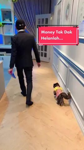 Ada berani nak pinang anak dara Papa sorang ni 😸😻