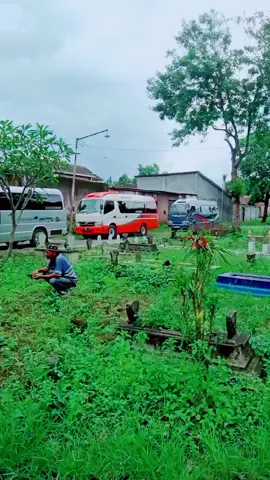 Bismillah Persiapan Ziarah Makam AL-Habib Sholeh Tanggul Semoga selamat sampai tujuan #elfpariwisata #drivermuda #PlayWithOreoBlackpinkID #bismillahfyp #situbondo #santripondok #arieftransjayaabadi 