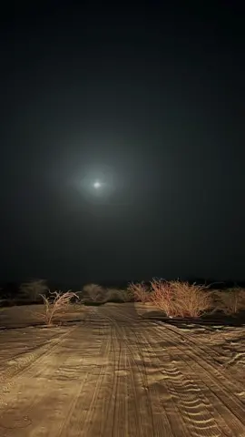 #القارئ #علي_جابر #رحمه_الله #سورة #التوبة #القران_الكريم #قران_كريم #ايات_قرآنية  #راحة_نفسية #وسكينةٌ #شهر_رمضان #رمضان_يجمعنا 