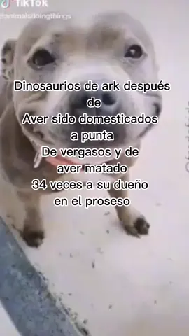 #CapCut #jurassicpark #humor #fyp #parati #memes #xd #memes #arksurvivalevolved #arkgenesis #jurassicworlddominion #mexico #hastag #turururu #arkaberration @Akali-RX @Rogelio 😯⭕️⭕️😯⭕️⭕️ @scorpion_chilenoxd 😎 @Hilian Rosas @Gabo Marín @🧫 crintard 🧫 #pitbullmeme #pitbullprincesa 