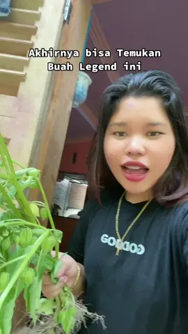 SAMPAI NAIK GUNUNG CARI INI