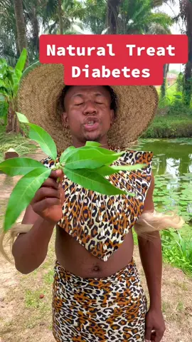 Mango leafs are excellent in insulin production and can balance the blood sugar level. Boil it and drink every morning   #mango #herbs #fyp #healthylife #Baptist