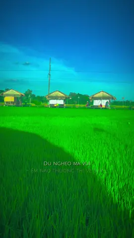 Mình về Đồng Tháp nghe câu hò….hò ơi!!! #CapCut #myphuocthanh #thuongthivedayremix  