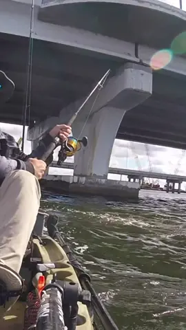 Gigantic Fish inhales my Live Crab!😳 #fishing #saltwaterfishing #monsterfish #giantfish #hugefish #