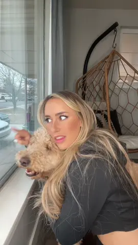 POV: your hooman comes home and interrupts your alone time #dogsoftiktok #foryou #alonetime #fypage #doglover 