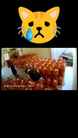 mr. moseby saves the day 🙏 #fy  #fyp  #fypシ  #sadstory #mrmoseby #thosewhoknow #sad #savestheday #savestheworld