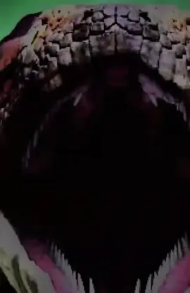 #titanoboa