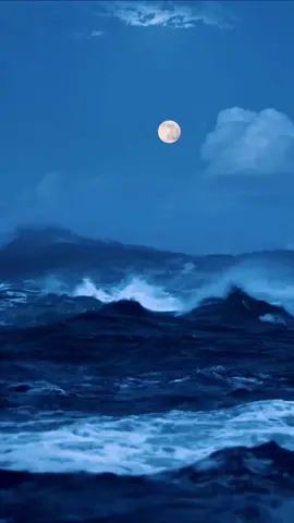 #tiktok #moon #sea #nature #fyp #fypシ #foryou #fypシ゚viral #foryoupage 