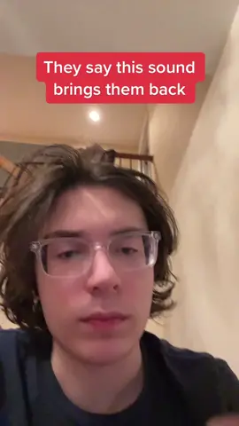 They say this sound brings them back… #fyp #sound #parody  