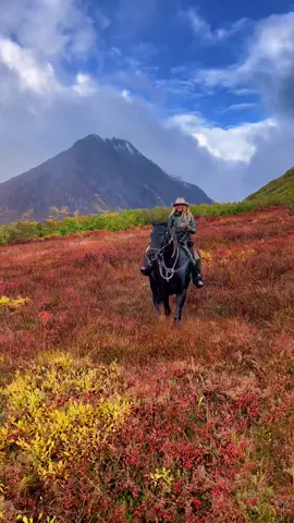 So pretty it doesn’t look real #alaska #guidelife #ak #fy #fyp #foryou #foryoupage #viral #Outdoors #outside #mountains #horse #horsetok #cabello #horses #horseback #horsebackriding #cowgirl #cowboy #cowgal #western 