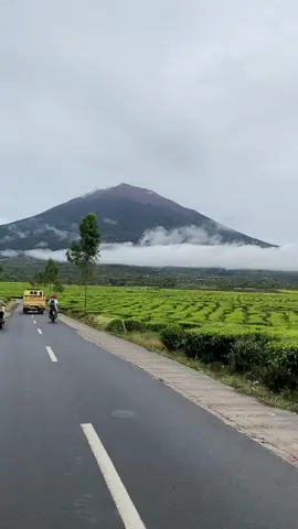 Kerinci Pagi pagi setelah hujan semalaman vibesnya emang Se sejuk itu 🤗  #kerinci #jambi #kerinci_jambi_indonesia #kincai #kerinci3805mdpl 