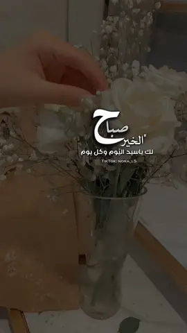 صباح الخير لك ياسيد اليوم وكل يوم ..🍂#منشن_للي_تحبه #تصويري #صباح_الخير #اكسبلور #fypシ #fyp 