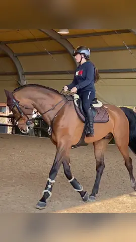 Carol & Cocone si preparano per il CSI*** Horses Riviera Resort di Cattolica #foryou #fyp #andiamoneiperte #horsesoftiktok #horsesjumping🖤 #horseoldemburg #horseoldemburg #horsetok #kentuckyhorses #tommyhilfinger 