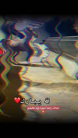 #الله يبارك❤️#اذكرو الله🧿#جواد:ولد قاليليو🥇#اسطبلات الاسطى🥇#مصراته #اللهم_صل_وسلم_على_نبينا_محمد 