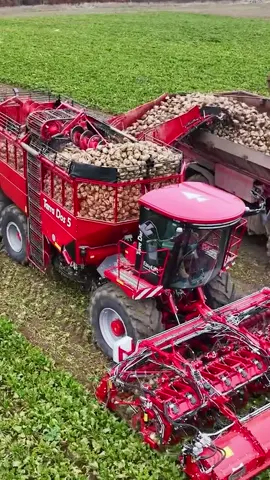 You look good in red. #farmlife #agriculture #harvest #farmer #johndeere 