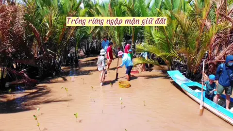 #CapCut Trải nghiệm trồng rừng ngập mặn giữ đất và chống xâm ngập mặn tại huyện Bình Đại - Bến Tre  #rungngapman #moitruongxanh #xuhuong 
