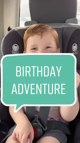 Happy 4th birthday to our best boy!💫🌲🐾 Quit growin up so fast🥹 #momcontent #datecardchallenge #birthdayboy #fyp #momlife #lifewithlinc 