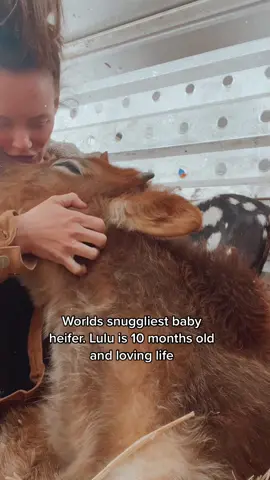 Lulu loves her cow mama 