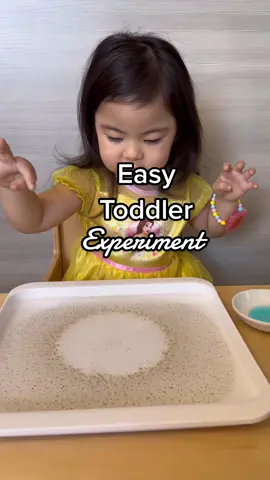 Try this easy toddler experiment with things you already have at home.  The Science behind this experiment.  When you add dish soap to the water it lowers the surface tension of the water. The water molecules try to stick together and move away from the soap while carrying the pepper with them! This also gives a great visual as to why kids should use soap to wash their hands. You can talk about pepper being a representation for the germs on their hands and how the soap causes those germs to scatter. #montessori #montessoritoddler #waterandpepper #montessoriathome #finemotorskills #montessoriparenting #montessorihome #toddlerhood #toddlerlife #toddleractivities #toddlermom #montessoriactivities #prewritingactivity #prewritingskills #montessoritoddler #montessoriathome #montessoriinspired #montessori #finemotorskills #montessorichild #toddler #toddlermom #momlife #montessorimom #toddleractivities #toddleractivitiesideas  #montessori  #montessoriactivity #montessoriathome #montessorimom #DIY #diyactivities #dollarstore #practicallifeskills #practicallifeactivities  #lowprepactivities #easyactivities #easytoddleractivity #finemotorskills #learningthroughplay #learningisfun #learning #lowcostactivity #montessoriactivities #screenfree #reducingscreentime #screentime #screenfreemorning #toddlerscience  #toddlerexperiment  #easytoddlerexperiments 