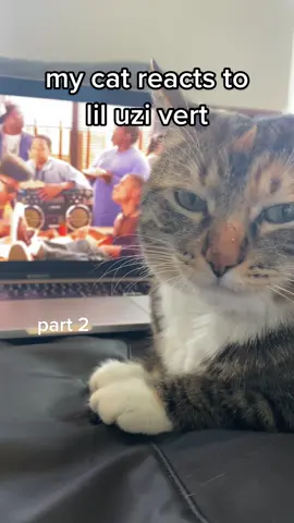 She loves dancing to Lil Uzi Vert songs 💗 This is the most hype she’s ever been 🕺 #liluzivert #watchthis #cat #hiphop #rap #raptok #catsoftiktok #cats #liluzi #foryou #fyp
