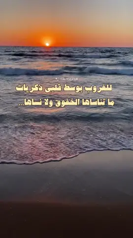 رفوف الذكريات #ماجد_المهندس #راشديات💙 #راشديات🤍🎻 #fypシ #Explre #اكسبلورexplore #تصميمي #اغاني 