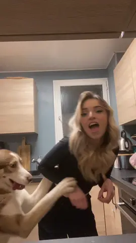 Agression 😂❤️#pourtoi #foryou #husky 