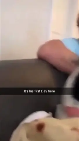 #funnyvideos #memes #PetsOfTikTok 