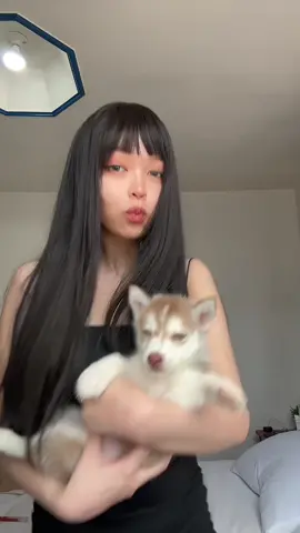 meet my akira <3