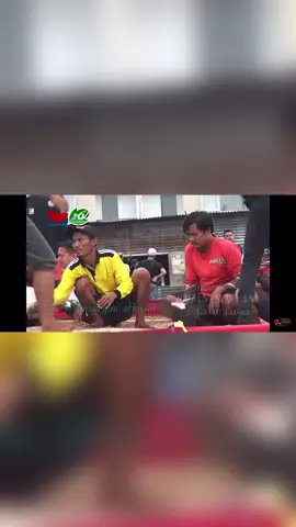 Kenangan 2019                           #merpatikolongbebas#putraKeludTeam #merpatikolong #pejuangrupiah #merpati 