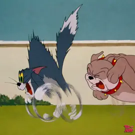 今日(2月24日)は #クロスカントリーの日 💨  #トムとジェリー は、どこだろうと全力で走ります🐱🐭💦 今日は、スパイクも参戦⁉️🐶  #トムジェリ #tomandjerry #cartoon #animation