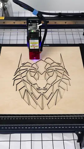 DIY Wall Decoration. Save Your Money! Easy to Make With Sculpfun Laser Engravers! #sculpfun #lasercutting #lasercuttingmachine #laserengravingmachine #foryou #DIY #diyproject #woodworking #diycraft #laserengraver #homedecor #idea @sculpun 