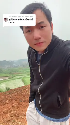 Trả lời @lê hữu thảo chè ngon sạch nhiều lắm ạ #tra 