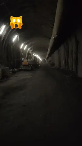 #unavolataalgiornotoglieildirettoreditorno🤣🤣🤣