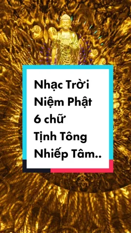 Nhìn kỹ vào chữ. Hỗ trợ nhiếp tâm niệm Phật. 6 chữ. Nhạc Trời, nhạc niệm Phật hay. Âm thanh này chứa năng lượng đồng thanh niệm của toàn thể đại chúng #adidaphat #nammoadidaphat #LearnOnTikTok #phatphapnhiemmau #phật #fyp #tinhtonghochoi #tinhdo 