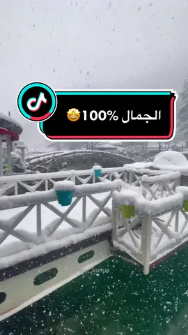 كاسة شاي مع شخص معين وبس 💆🏻‍♂️ #المصور_كارلوس #تركيا #سكاريا #صبنجة #الجمال #هدوء #راحه #شتا #معشوقية #طبيعه #تلج #رواق #لايك_متابعه_اكسبـــلو