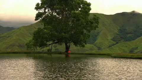 If you want to be alone bukidnon is for you #bukidnon #impasugongbukidnon #communalranchbukidnon #fyp #peaceofmind 