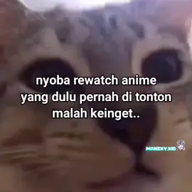 keinget anime crack #meme #anime #wibu #animecrack #meguminimecrack #yurucamp #animememe 