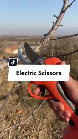 #gardentools #Outdoors #walenseetool #gardening #tools #garden 