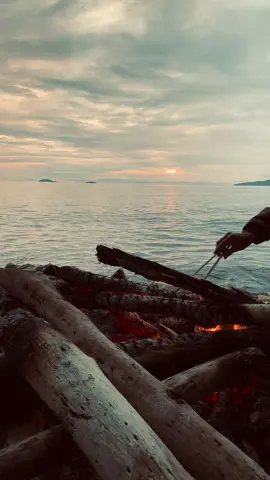 Kalo mo sv ijin dlu🤝🏼✌🏻#fyp #fypシ゚viral #viraltiktok #fypシ #viral #viralvideo #beranda #polosan 