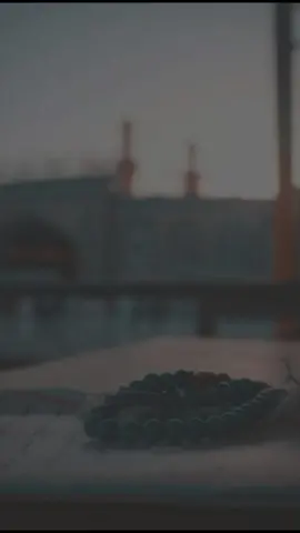 أدعوا ربكم تضرعاً وخفية إنه لا يحب المعتدين #الشيخ_ماهر_المعيقلي #سورة_الاعراف #fyp #viral #trending #quran_alkarim #quranvideo 