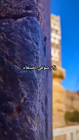 زاد شوقي لصنعاء