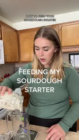 it’s snowing so I’m in the baking mood! Sourdough discard chocolate cookies are coming right up 😍 #homemaker #homemaking  #sourdoughstarter #sourdoughclub #sourdoughstarterfeeding #homemakerlife #homemakingmama #cooking #homemademeals #rawmilk  #homesteadtiktok #nonaesthetichome #sourdoughtok #sourdoughstarter #nonaestheticmom #lowtoxicliving #lowtoxiclifestyle 