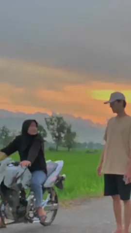 bahan bucin mu kak #fyp #tigerhallonda 