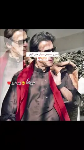 #شہزادہ_ببر_شیر🥰❤️ #عمران_خان_ہماری_ریڈ_لائن #fypシ #foryourpage #pti_tigers #imrankhanzindabad #tabbasam321 