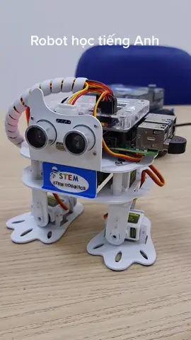 Hỗ trợ học sinh thi sáng tạo khoa học kỹ thuật, hội thi tin học. #laptrinhrobot #robot #stem