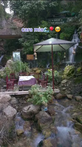 Ben Hatay’da doğdum Hatay’da büyüdüm sadece babamın bizi tatile aldığı zamanlarda çıkardık Hatay dışına onda da dönmek için gün sayardık zaten oranın havası, insanları, yaşam tarzı, yemekleri apayrı benim için canım memleketim bazen sıkılıyorduk hatta gidecek hiçbir yerimiz yok diye ordan gitmek istiyorduk meğersem çok zormuş senden kopmak mumla arıyoruz oraları.. Ailecek nenemlerde toplandığımız her günü o kadar özledim ki annemin yemeklerinin kokusunu bana Ela bulaşığı diz diye seslenişini evimin çamaşır suyu kokusunu yatağımdan uyumayı çalışma odamda ders çalışmayı kuzenimin hadi nenelere inelim diye mesaj atmasını özledim bazı şeylerin değerini kaybedince anlıyor insan şimdi hepimiz farklı yerlerde ve eksiğiz evinizi iş yerinizi.. memleketinizi kaybetmenin acısı farklı oluyormuş artık Hatay’ın yemek veya nergis kokusu yok Hatay’ın toz ve c.set kokusu var bunu söylemek çok zor ama Hatay’ı eski haline getirmek mümkün değil orası tarihin en güzel yerlerinden biri eski Antakya caddelerini bir daha yapmanız ne kadar mümkün olabilir ki? Oraya ev diktiniz mi yetmiyor bizim elimizden sadece evlerimizi değil sokaklarımızı aldınız çocukluğumuzu aldınız illa geri döneceğiz Hatay seni terk edemeyiz ama hiçbir şeyin eskisi gibi olmayacağını bile bile geleceğiz oraya insanı en çokta bu üzüyor zaten… Siz siz olun sevdiklerinize vakit ayırmaktan çekinmeyin küs olduklarınızla barışın hayat sizi onlardan ayırınca değerini anlıyorsunuz çünkü🫠 #hataydeprem 