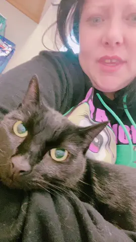 Say a prayer for kitty kitty boom boom!!! #catsoftiktok #catlover #kitty #fyp 