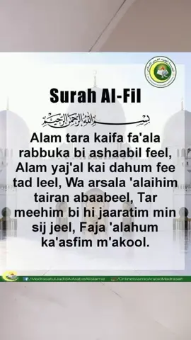 Surah Al-Fil #muslima #yaallah #foryoupage #islam #fypシ #subhanallah #dua #surah #inshallah #surahalfil 